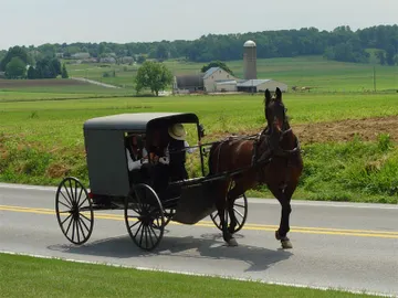 Amish Amish