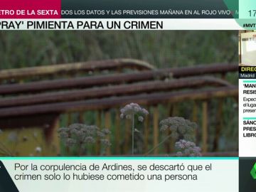 La Guardia Civil halló spray pimienta en las vallas con las que le tendieron la trampa a Javier Ardines La Guardia Civil halló spray pimienta en las vallas con las que le tendieron la trampa a Javier Ardines