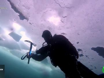 ¿Cómo es bucear bajo el hielo?: así se practica uno de los deportes más extremos que existen ¿Cómo es bucear bajo el hielo?: así se practica uno de los deportes más extremos que existen