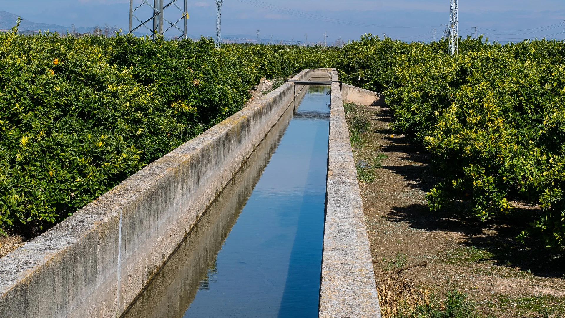 Acequia (Archivo)