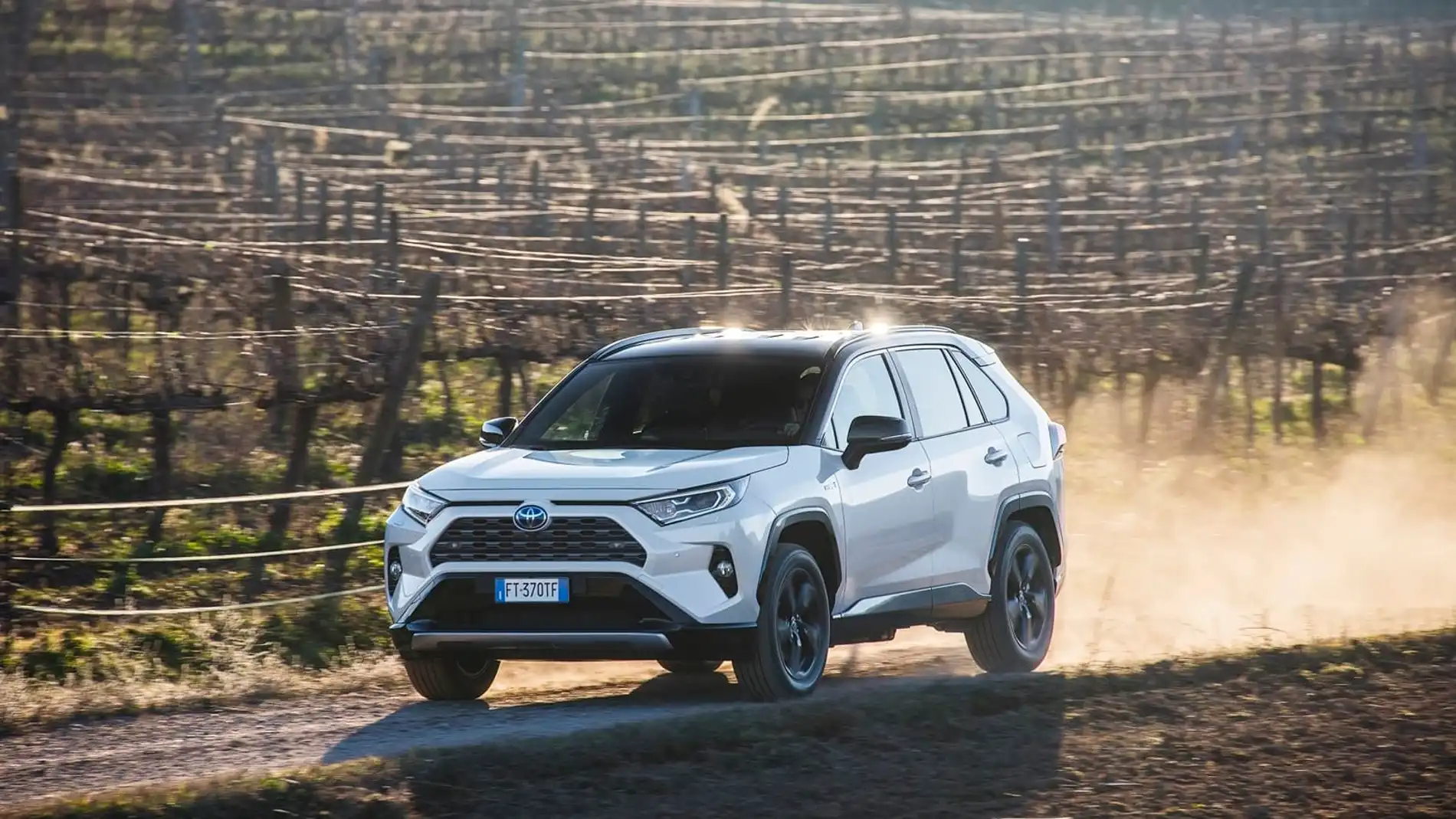 Toyota RAV4 2019