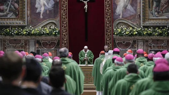 El papa Francico durante la cumbre de la Iglesia El papa Francico durante la cumbre de la Iglesia