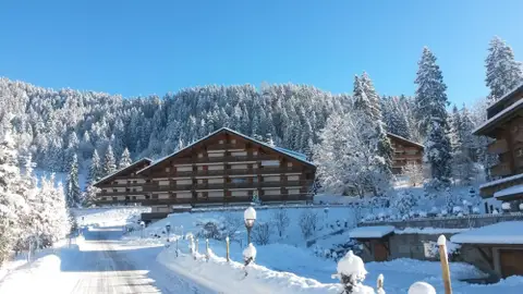 Suiza Suiza