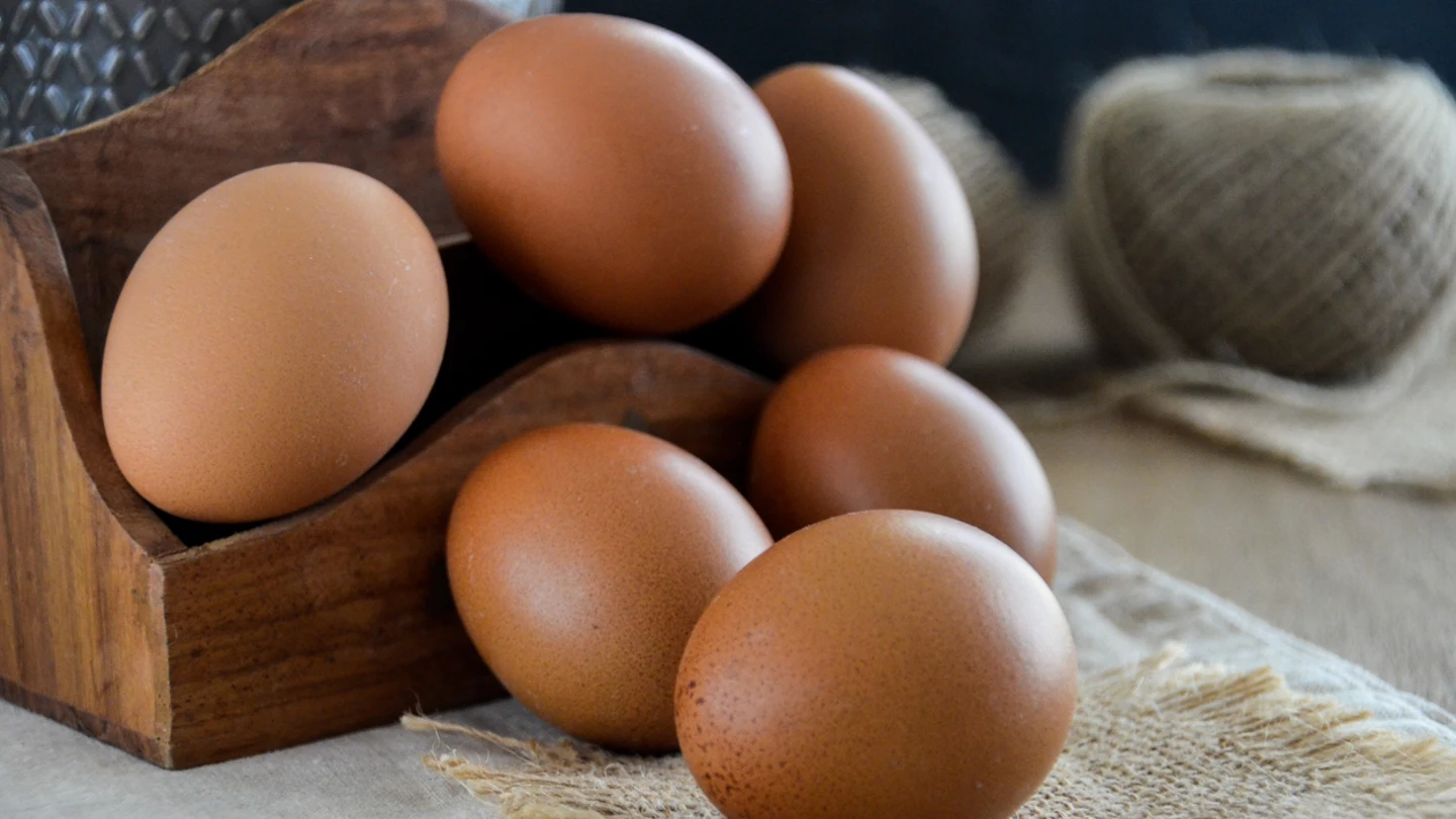 Huevos Huevos
