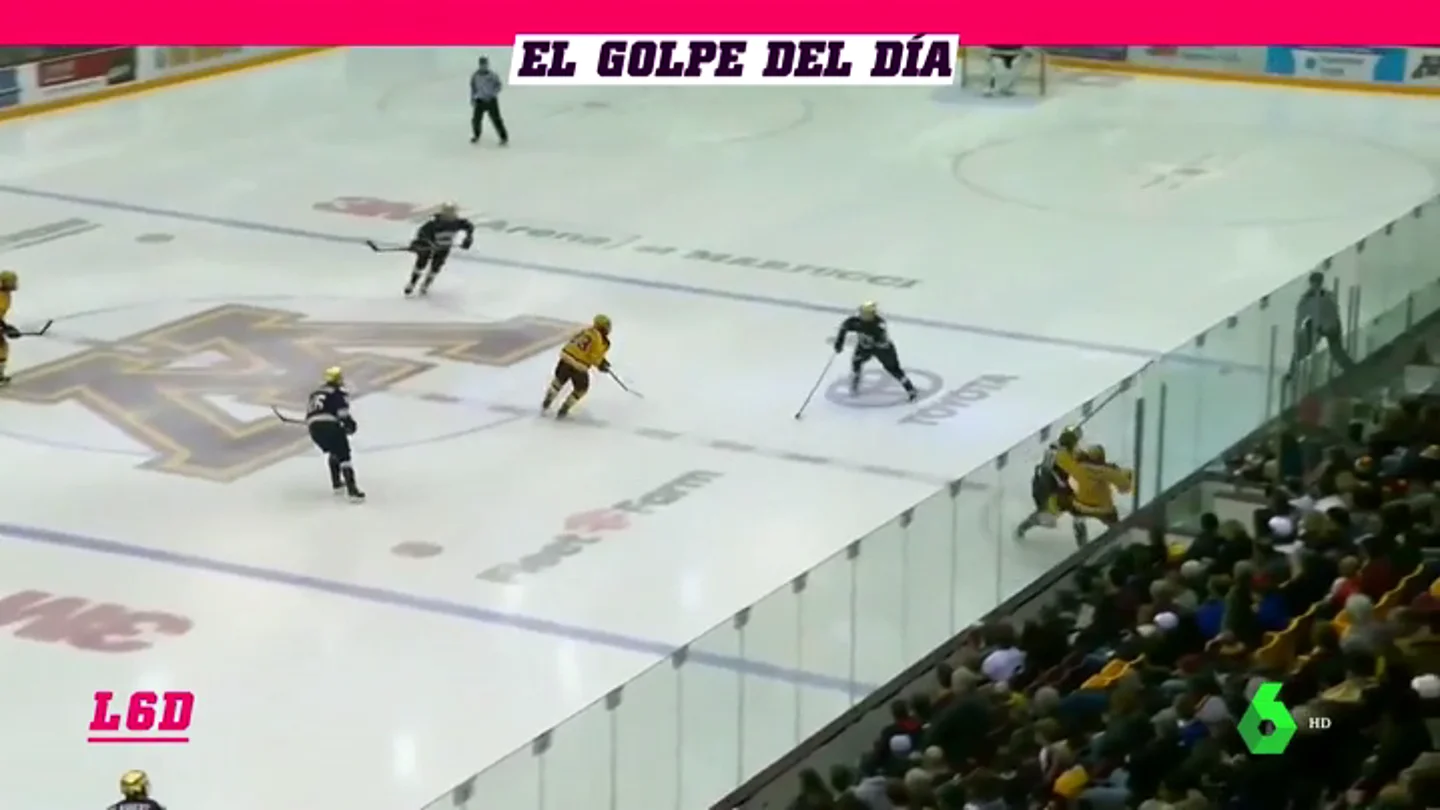 hockey_l6d hockey_l6d
