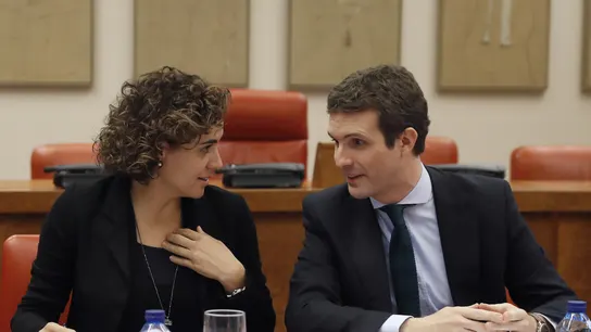El presidente del PP, Pablo Casado El presidente del PP, Pablo Casado