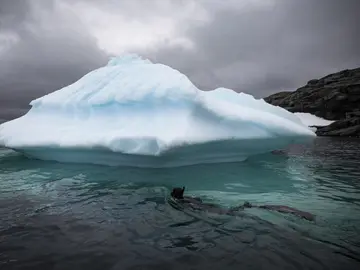 Buceando en un iceberg (27-02-2019) Buceando en un iceberg (27-02-2019)