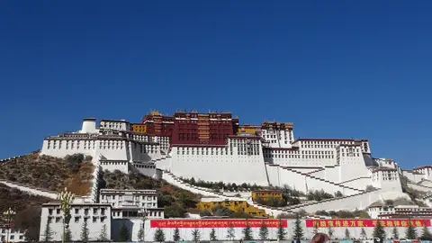 Lhasa Lhasa