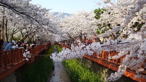 Jinhae-gu