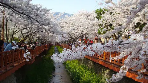 Jinhae-gu Jinhae-gu