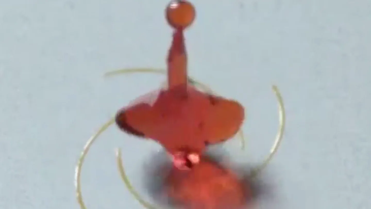 Crean una nueva superficie que hace girar las gotas de agua como si fueran bailarinas Crean una nueva superficie que hace girar las gotas de agua como si fueran bailarinas