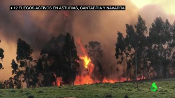 Incendios forestales: más de 10 fuegos siguen asolando Asturias y Cantabria