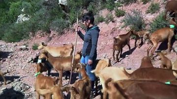 Machismo hasta entre cabras: las experiencias de Merlés en un mundo agrícola que sigue rechazando la igualdad