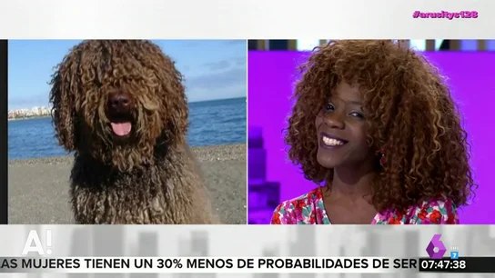 Adriana Boho Adriana Boho