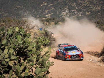 Dani Sordo peleó por la victoria hasta un proble eléctrico