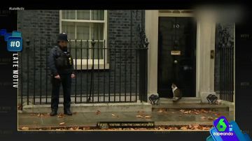 El gato Larry, el verdadero 'jefe' de Gran Bretaña