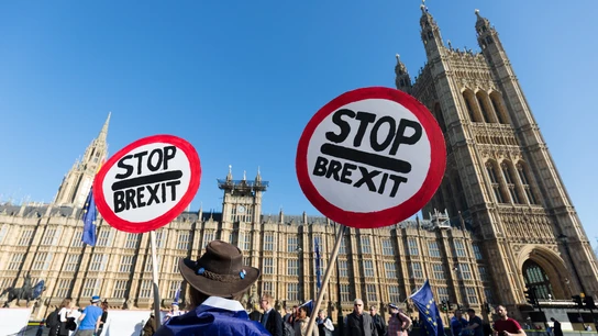 Un hombre se manifiesta contra el ''brexit'' durante una protesta en el exterior del Parlamento británico Un hombre se manifiesta contra el ''brexit'' durante una protesta en el exterior del Parlamento británico