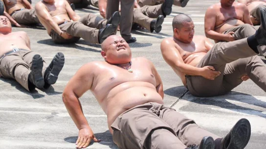 Policías en el campamento "destruye barrigas" Policías en el campamento "destruye barrigas"