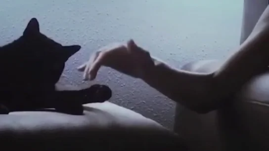 Así fue el emotivo momento en el que una mujer con Parkinson conseguía acariciar a su gato Así fue el emotivo momento en el que una mujer con Parkinson conseguía acariciar a su gato