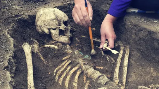 Restos de fósiles humanos Restos de fósiles humanos