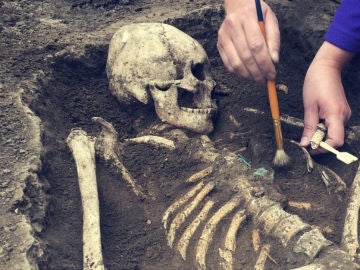 Restos de fósiles humanos Restos de fósiles humanos