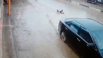 La impactante maniobra de un conductor para evitar atropellar a un niño que cruzó sin mirar