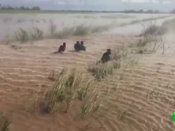 Las escalofriantes imágenes que deja el ciclón 'Idai' en su paso por Mozambique Las escalofriantes imágenes que deja el ciclón 'Idai' en su paso por Mozambique