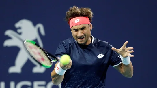 David Ferrer, en acción contra Sam Querrey David Ferrer, en acción contra Sam Querrey