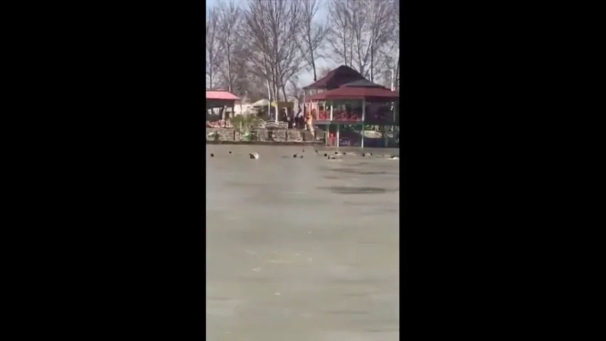 Algunas de las víctimas del naufragio del ferry