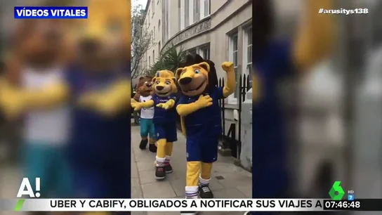 La reunión de las mascotas de la Premier League que está triunfando en las redes sociales La reunión de las mascotas de la Premier League que está triunfando en las redes sociales
