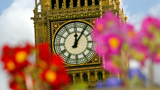 Flores ante el Big Ben, en Londres. Flores ante el reloj del Big Ben, en Londres.