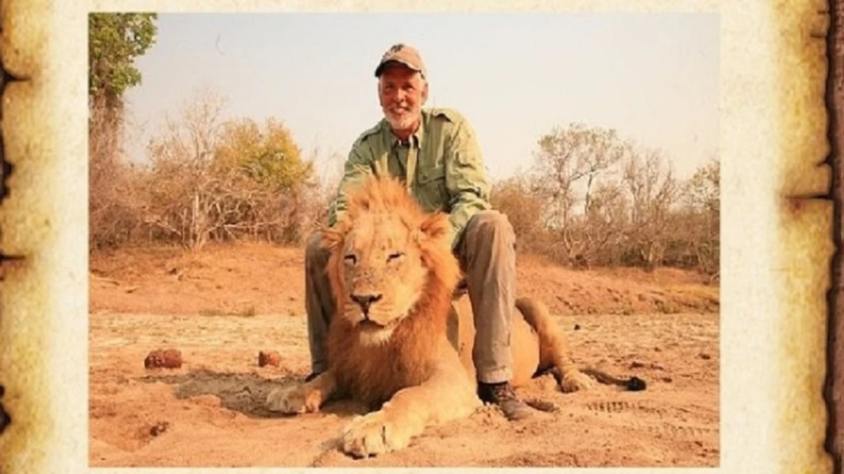 El indignante vídeo de un cazador que mata a un león mientras duerme