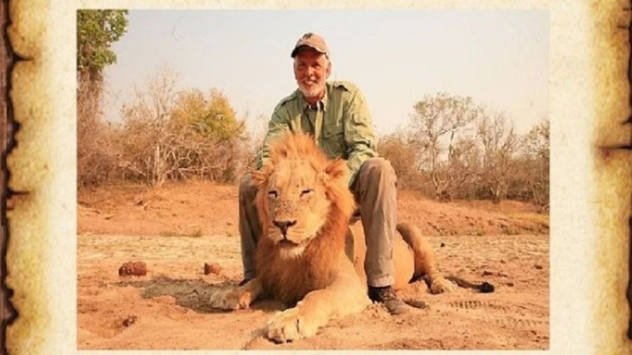 El indignante vídeo de un cazador que mata a un león mientras duerme