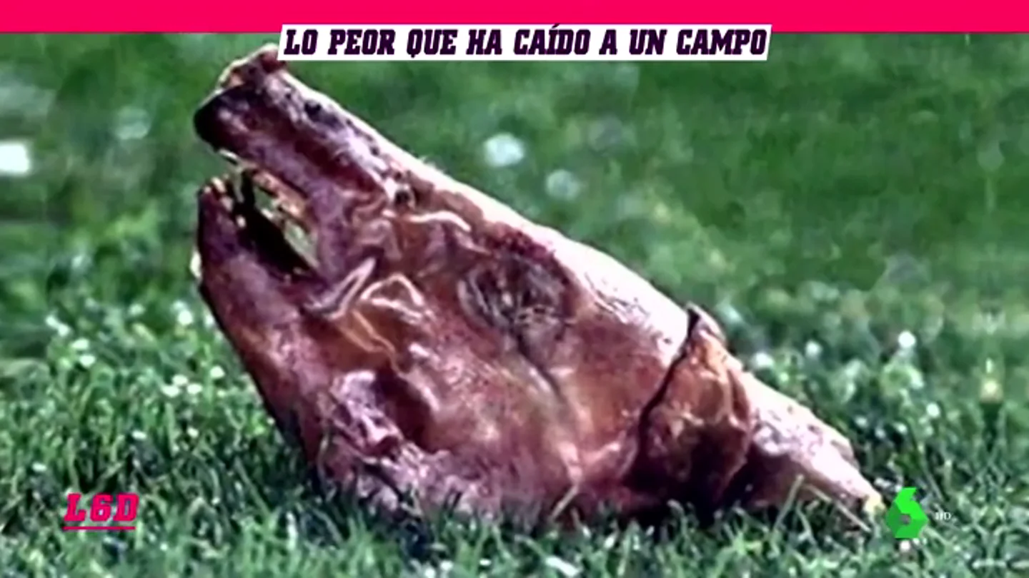 ObjetosCampo_L6D ObjetosCampo_L6D