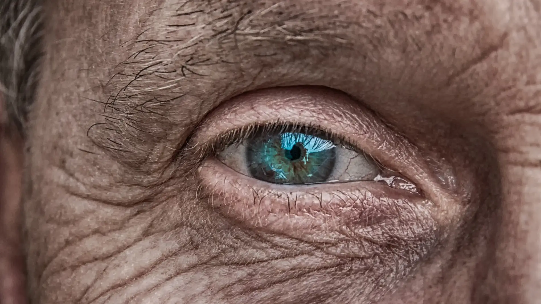 ojo de un hombre mayor