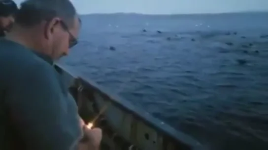 Un pescador arrojando un explosivo para ahuyentar a un grupo de leones marinos Un pescador arrojando un explosivo para ahuyentar a un grupo de leones marinos
