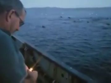 Un pescador arrojando un explosivo para ahuyentar a un grupo de leones marinos Un pescador arrojando un explosivo para ahuyentar a un grupo de leones marinos