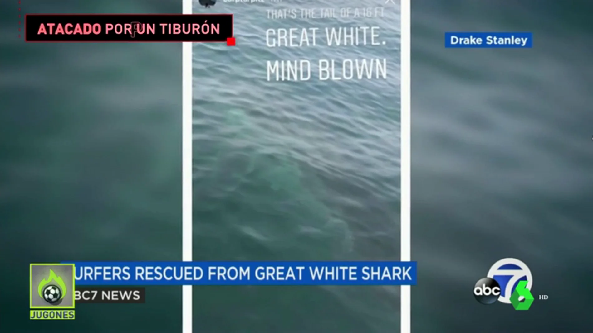 Un surfista se encuentra con un tiburón blanco gigante: "Pensaba que era una ballena"