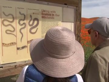 Eso no se toca: el aviso que advierte a los turistas de que las serpientes matan Eso no se toca: el aviso que advierte a los turistas de que las serpientes matan