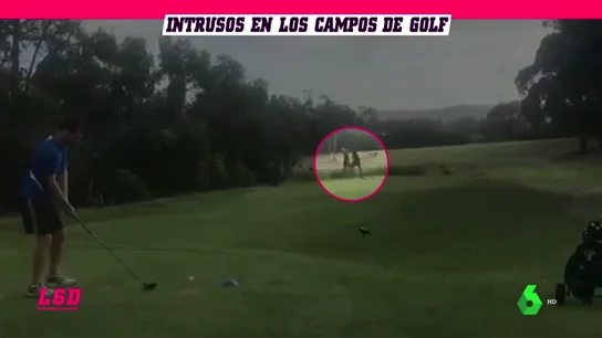 Golf_L6D Golf_L6D