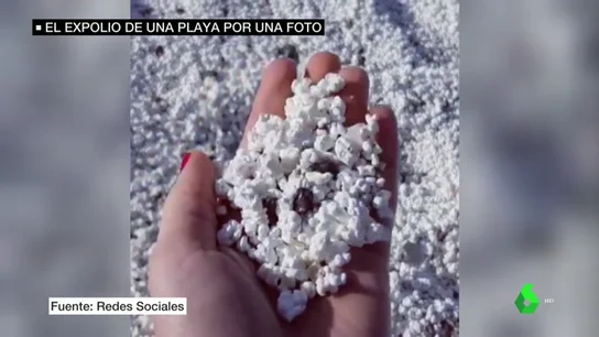 Las algas con forma de palomita de una playa en Fuerteventura provocan la invasión de turistas Las algas con forma de palomita de una playa en Fuerteventura provocan la invasión de turistas