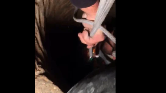 Rescate de los bomberos de Málaga a un hombre que se cayó a un pozo Rescate de los bomberos de Málaga a un hombre que se cayó a un pozo