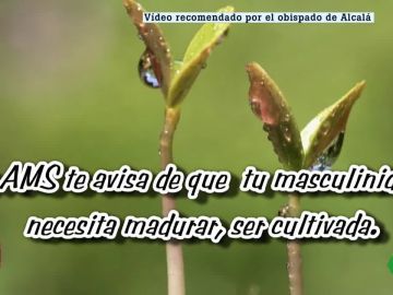 Imagen de uno de los vídeos difundidos por el Obispado de Alcalá de Henares Imagen de uno de los vídeos difundidos por el Obispado de Alcalá de Henares