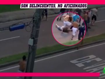 pelea_brasil pelea_brasil