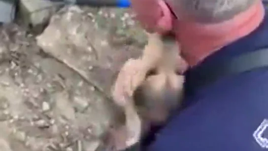 Un cachorro agradece con 'besos' y aullidos al bombero que consigue rescatarlo de un hoyo Un cachorro agradece con 'besos' y aullidos al bombero que consigue rescatarlo de un hoyo