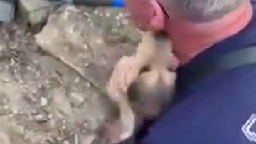 Un cachorro agradece con 'besos' y aullidos al bombero que consigue rescatarlo de un hoyo