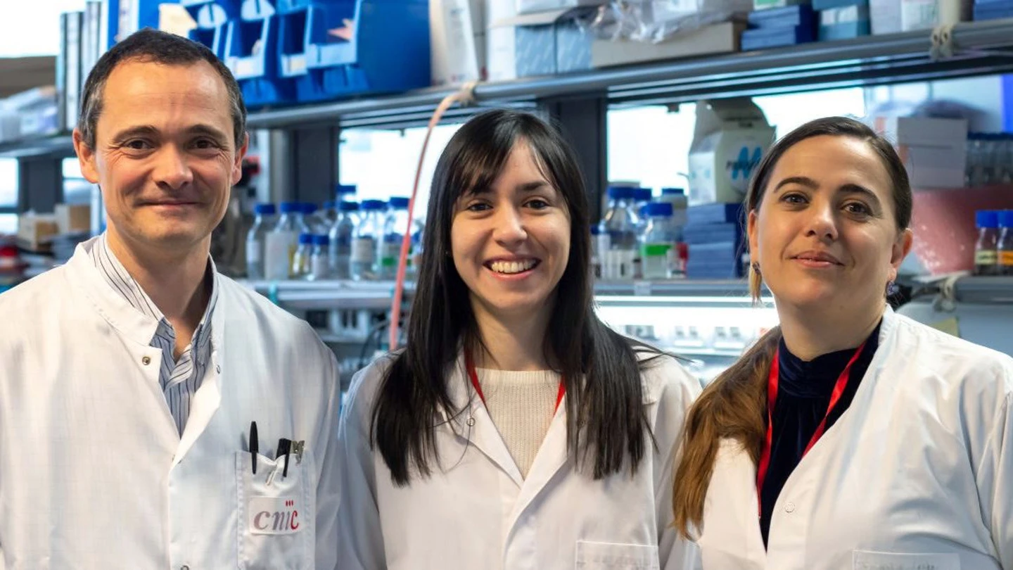 Alfonso Mora, Leticia Herrera-Melle (c) y Guadalupe Sabio (d), investigadores del equipo CNIC que ha hallado una explicación por la que el cáncer de hígado incide más en los varones Alfonso Mora, Leticia Herrera-Melle (c) y Guadalupe Sabio (d), investigadores del equipo CNIC que ha hallado una explicación por la que el cáncer de hígado incide más en los varones
