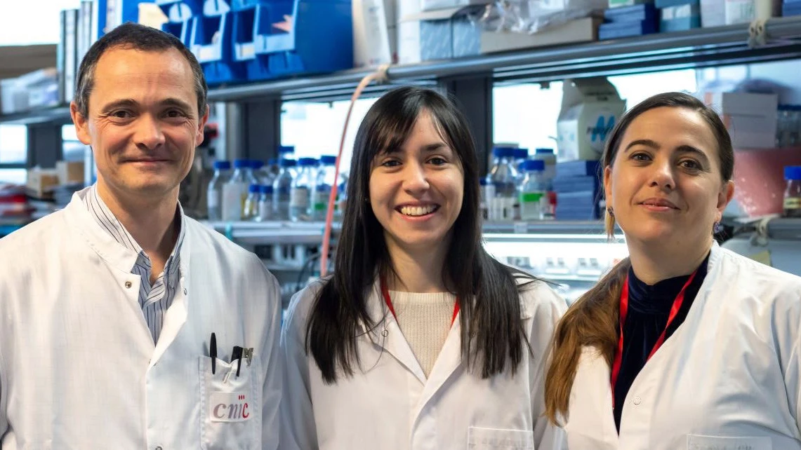 Alfonso Mora, Leticia Herrera-Melle (c) y Guadalupe Sabio (d), investigadores del equipo CNIC que ha hallado una explicación por la que el cáncer de hígado incide más en los varones Alfonso Mora, Leticia Herrera-Melle (c) y Guadalupe Sabio (d), investigadores del equipo CNIC que ha hallado una explicación por la que el cáncer de hígado incide más en los varones