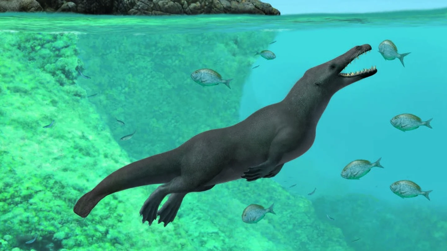 Ilustración de la ballena de cuatro patas Ilustración de la ballena de cuatro patas