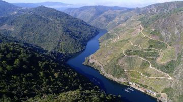  La Ribeira Sacra optará a la declaración de Patrimonio Mundial de la Unesco Viñedos en la Ribeira Sacra siguiendo el curso del Sil. EFE/Archivo La Ribeira Sacra optará a la declaración de Patrimonio Mundial de la Unesco